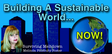 Build A Sustainable World – NOW!